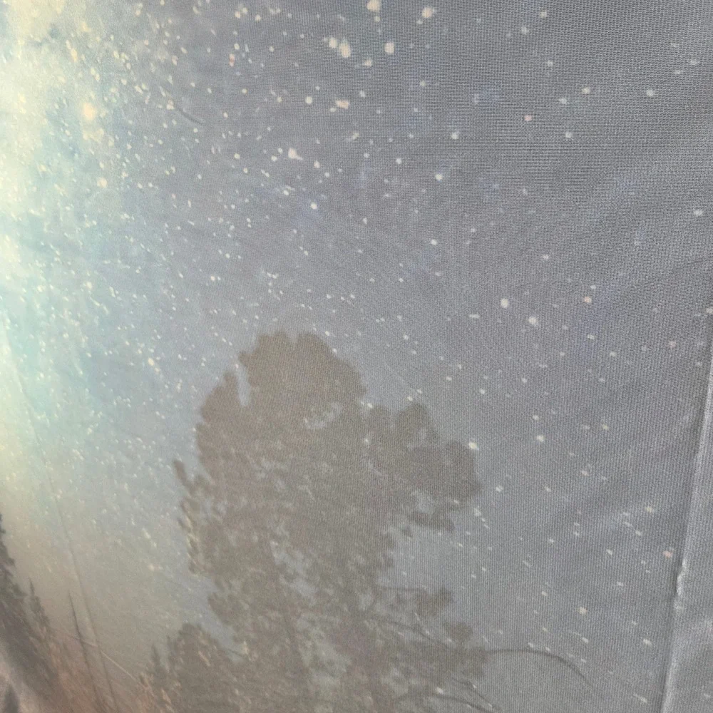Wall Tapestry Milky Way Galaxy Pine Forest Large 69x86 Star